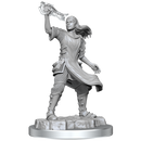 D&D Nolzurs Marvelous Unpainted Miniatures Aasimar Cleric Female Dungeons & Dragons