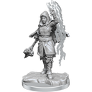 D&D Nolzurs Marvelous Miniatures Half-Elf Warlock Dungeons & Dragons