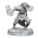 D&D Nolzurs Marvelous Miniatures Half-Elf Warlock Dungeons & Dragons