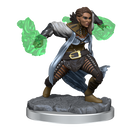 D&D Nolzurs Marvelous Miniatures Half-Elf Warlock Dungeons & Dragons