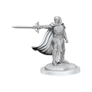 D&D Nolzurs Marvelous Miniatures Death Knights Dungeons & Dragons