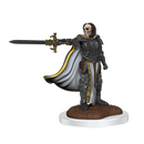 D&D Nolzurs Marvelous Miniatures Death Knights Dungeons & Dragons