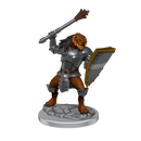 D&D Nolzurs Marvelous Miniatures Dragonborn Clerics