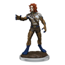 D&D Nolzurs Marvelous Miniatures Headless Monster Dungeons & Dragons
