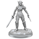 D&D Nolzurs Marvelous Miniatures Elf Rogue & Half-Elf Rogue Protege Dungeons & Dragons