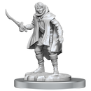D&D Nolzurs Marvelous Miniatures Elf Rogue & Half-Elf Rogue Protege Dungeons & Dragons