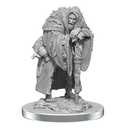D&D Nolzurs Marvelous Unpainted Miniatures Wereravens Dungeons & Dragons