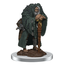 D&D Nolzurs Marvelous Unpainted Miniatures Wereravens Dungeons & Dragons