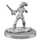 D&D Nolzurs Marvelous Miniatures Quicklings Dungeons & Dragons