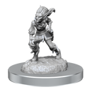 D&D Nolzurs Marvelous Miniatures Quicklings Dungeons & Dragons
