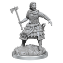D&D Nolzurs Marvelous Unpainted Miniatures Human Fighters Dungeons & Dragons