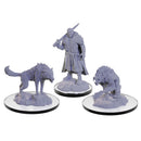 D&D Nolzur's Marvelous Miniatures: Loup Garou Dungeons & Dragons