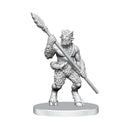 Dungeons & Dragons D&D Nolzur's Marvelous Miniatures: Classic Satyr Dungeons & Dragons