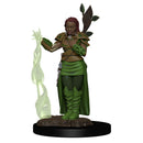 D&D Premium Painted Figures Human Female Druid Dungeons & Dragons