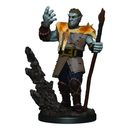 D&D Premium Painted Figures Male Firbolg Druid Dungeons & Dragons