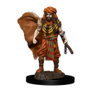 D&D Premium Painted Figures Human Druid Male Dungeons & Dragons