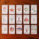 Origame: Plantopia + KS promo Seed Pack Board Game