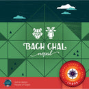 Bagh Chal LUDOS Asia Collection Board Game
