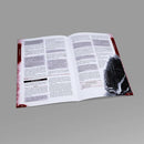 Sins RPG Dead City