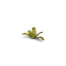 Gamers Grass Laser Plants Banana Tree