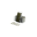 Gamers Grass Laser Plants Dumb Cane