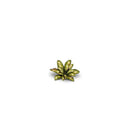 Gamers Grass Laser Plants Dumb Cane