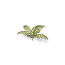 Gamers Grass Laser Plants Bracken