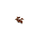 Gamers Grass Laser Plants Alien Flytrap