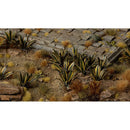 Gamers Grass Laser Plants Agave