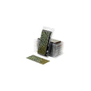 Gamers Grass Laser Plants Plantain Lily