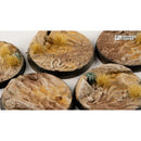 Gamers Grass Battle Ready Bases Deserts of Maahl Round 32mm x8