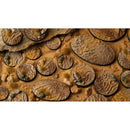 Gamers Grass Battle Ready Bases Deserts of Maahl Round 90mm x1