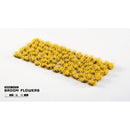 Gamers Grass Grass Tufts Flowers Broom