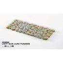 Gamers Grass Grass Tufts Flowers Light Blue Lilac