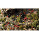 Gamers Grass Grass Tufts Flowers Poppy Tiny