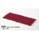 Gamers Grass Grass Tufts Flowers Garnet Tulip Tiny