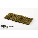 Gamers Grass Grass Tufts Shrubs Dry Green