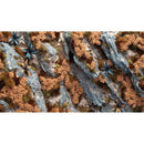 Gamers Grass Grass Tufts Shrubs Autumn