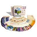 Phanerozoic Board Game