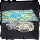Runar Jarl Board Game