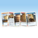 Mega Empires: The West Board Game