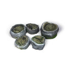 Vallejo Scenic Accessories Palm Stumps