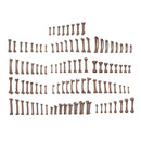 AK Interactive Basing Bits Human Bones 120 Pieces
