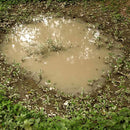 AK Interactive Dioramas Puddles 60mL