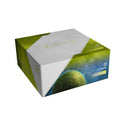 Unsettled 007 Koguya Board Game