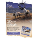 Nature - Module 4 - Arctic Tundra Board Game