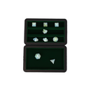 LPG Essentials Dice Case Slate / Lich green