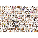 Puzzle The World Of Dogs 2000pc