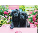 Puzzle Black Labs In Pink Box 500pcXL