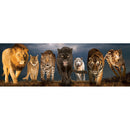Puzzle Big Cats Panoramic 1000pc